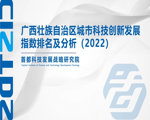 黄色录像三级片【成果发布】广西壮族自治区城市科技创新发展指数排名及分析（2022）